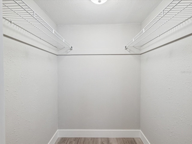 spacious closet featuring wood-type flooring