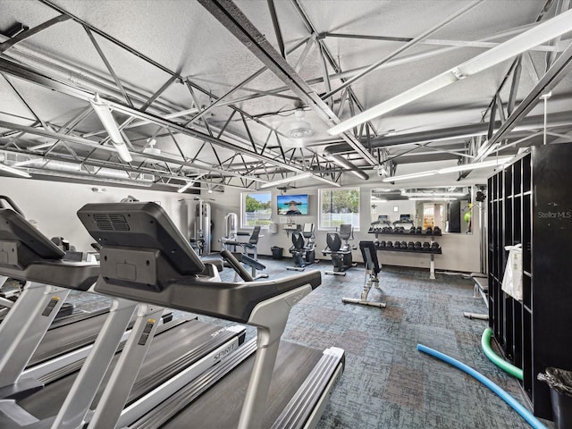 exercise room featuring carpet