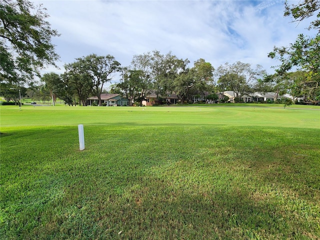 view of community with a yard