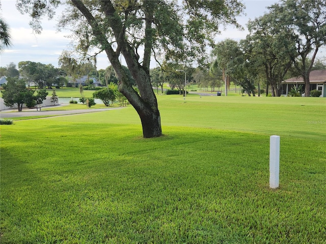 view of home's community with a yard