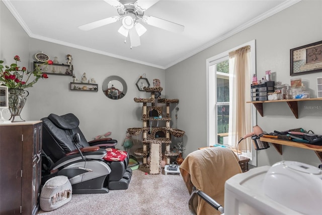 office featuring ornamental molding, ceiling fan, and carpet flooring