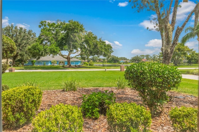 view of property's community featuring a lawn