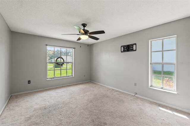 3077 Ardenwood Dr, Spring Hill, FL 34609 - photo 24