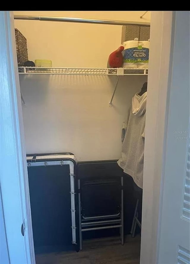 spacious closet with dark hardwood / wood-style flooring