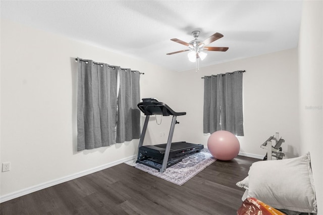 workout room featuring dark hardwood / wood-style floors and ceiling fan