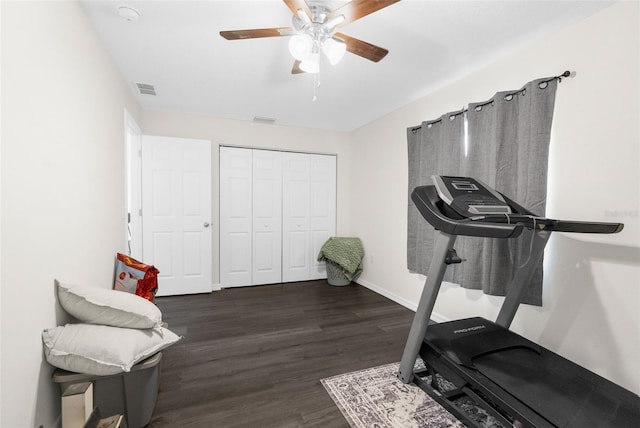 exercise area featuring dark hardwood / wood-style floors and ceiling fan