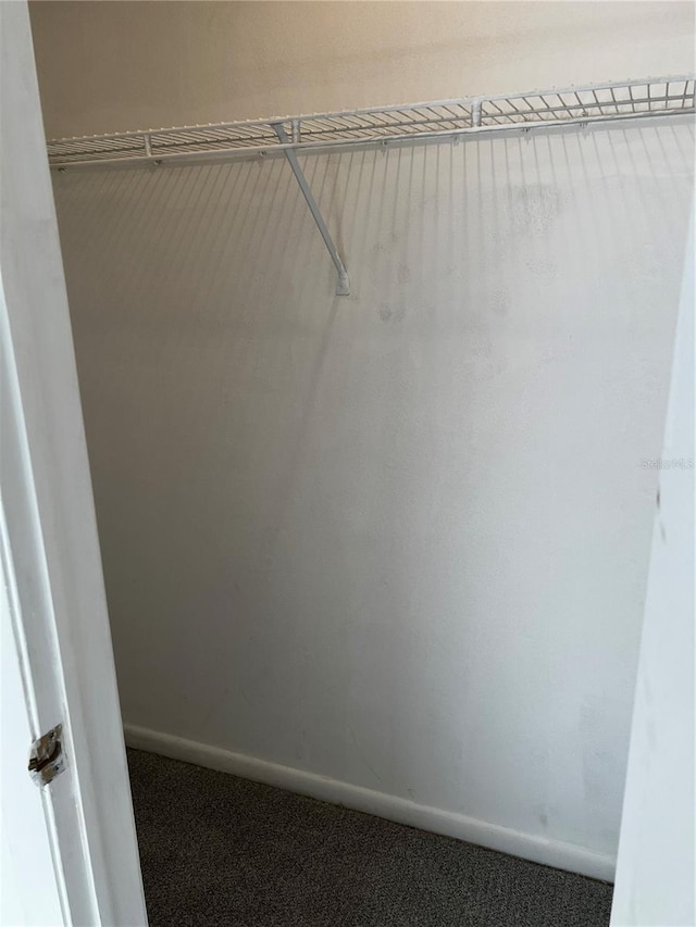 spacious closet featuring carpet flooring