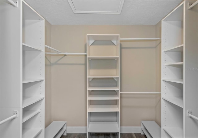 walk in closet with dark hardwood / wood-style flooring