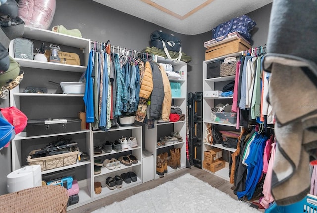 spacious closet with hardwood / wood-style flooring