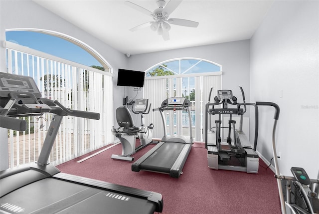 gym featuring ceiling fan and carpet flooring