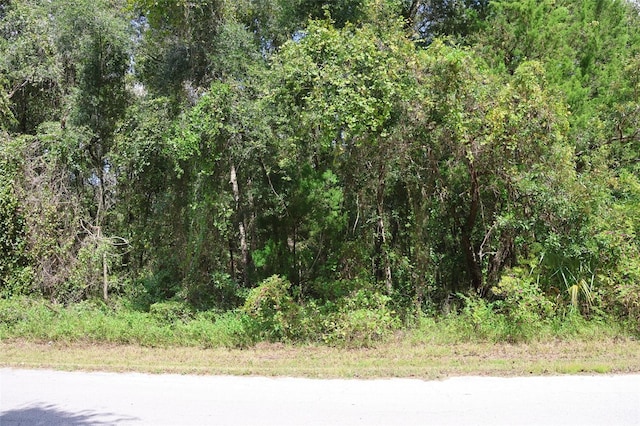 439 S Snapp Ave, Inverness FL, 34453 land for sale