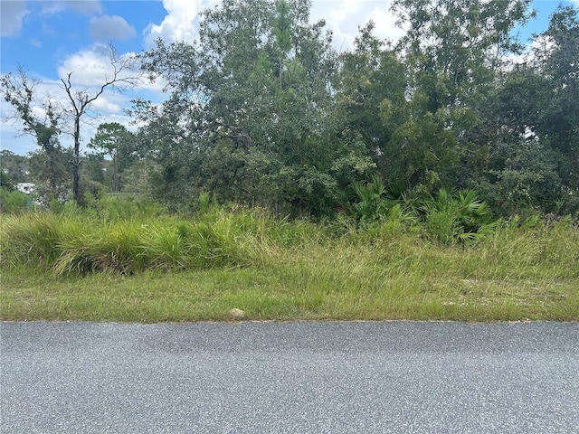 13035 House Finch Rd, Weeki Wachee FL, 34614 land for sale