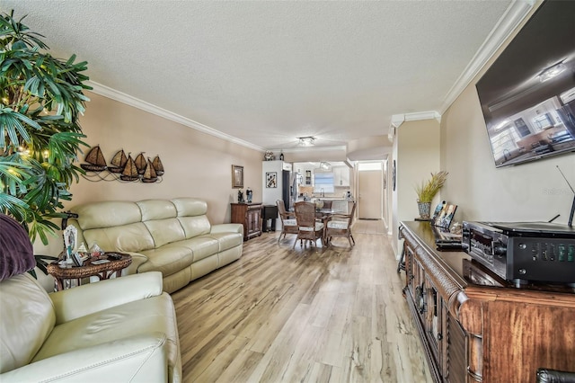 1847 Shore Dr S Unit 614, South Pasadena, FL 33707 - living room featuring a toaster, ornamental molding, a textured ceiling, and light wood-type flooring