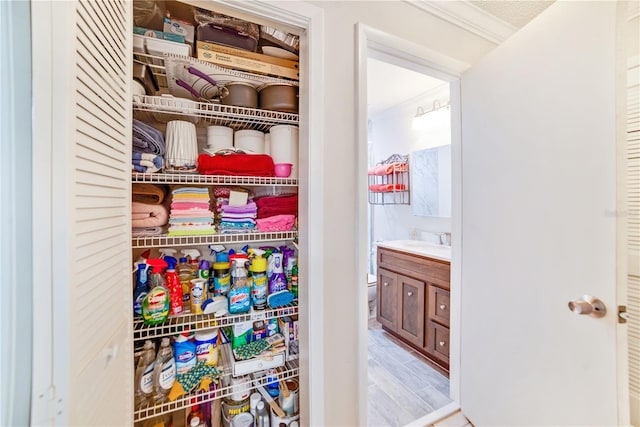 closet with sink