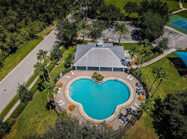 view of pool featuring a lawn