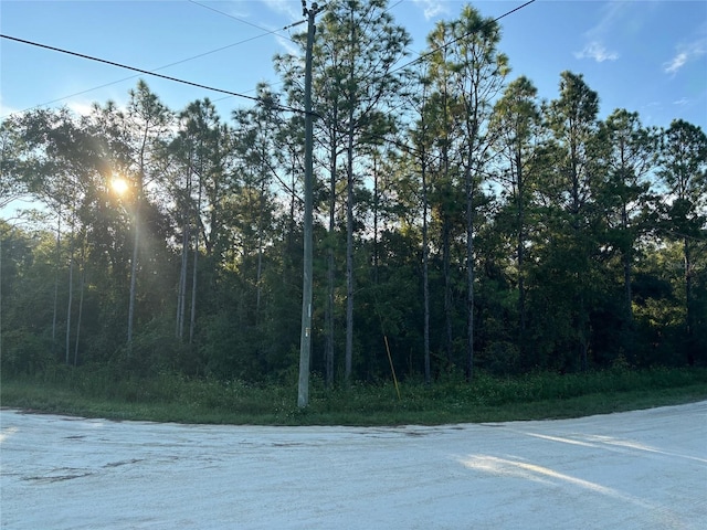 Listing photo 3 for LOT11 Canvasback Rd, Brooksville FL 34614