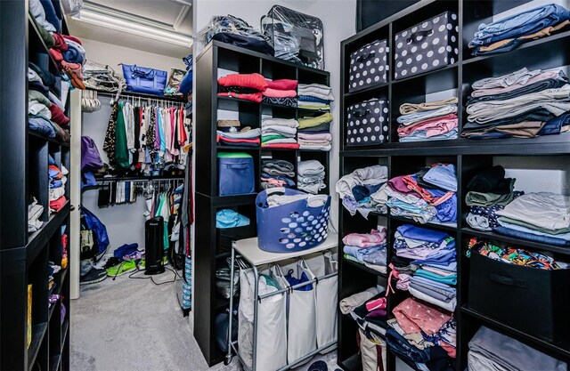 walk in closet featuring carpet