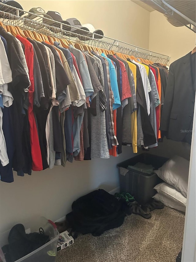 spacious closet featuring carpet flooring