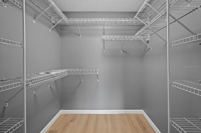 walk in closet with wood-type flooring