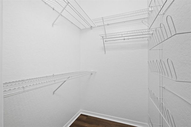 walk in closet featuring wood-type flooring