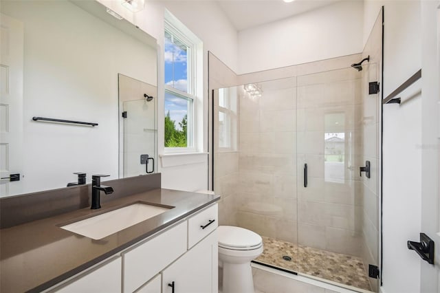 bathroom with vanity, toilet, and walk in shower