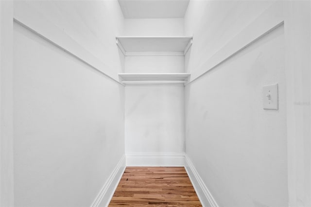 spacious closet featuring wood-type flooring