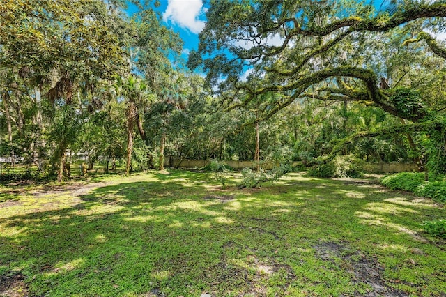 321 S Brooksville Ave, Brooksville, FL 34601 - photo 62