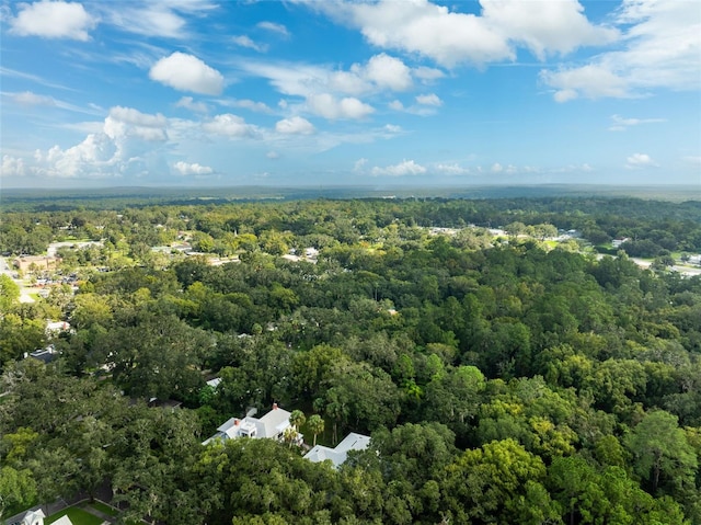 321 S Brooksville Ave, Brooksville, FL 34601 - photo 64