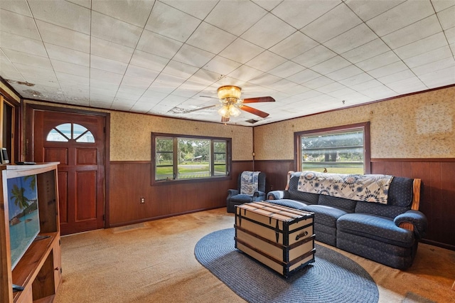 carpeted living room with plenty of natural light, ceiling fan, and wooden walls