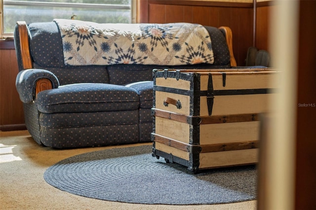 bedroom featuring wooden walls and carpet floors