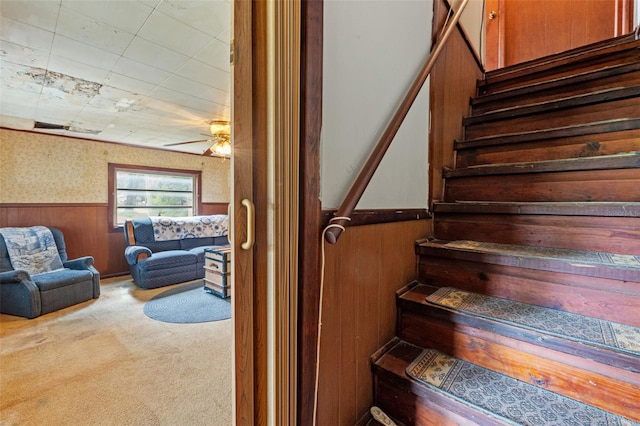 staircase featuring carpet flooring and wooden walls