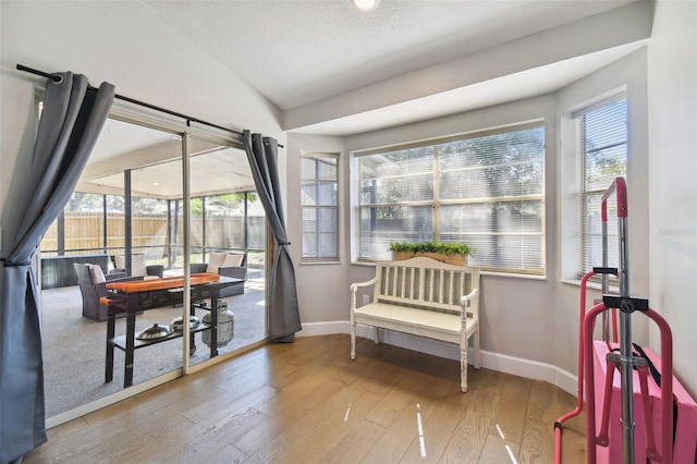 living area with hardwood / wood-style flooring, plenty of natural light, and vaulted ceiling