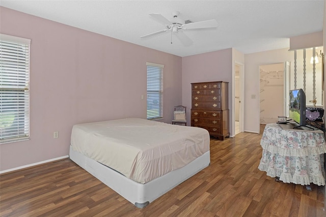 bedroom with multiple windows, ceiling fan, and dark hardwood / wood-style flooring