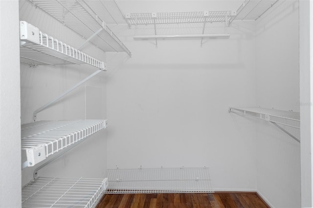 walk in closet with dark wood-type flooring