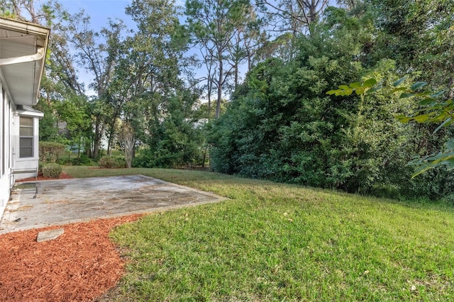 view of yard with a patio area