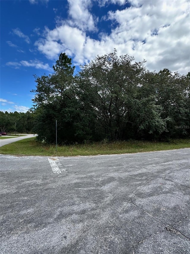 Address Not Disclosed, Springs FL, 34433 land for sale