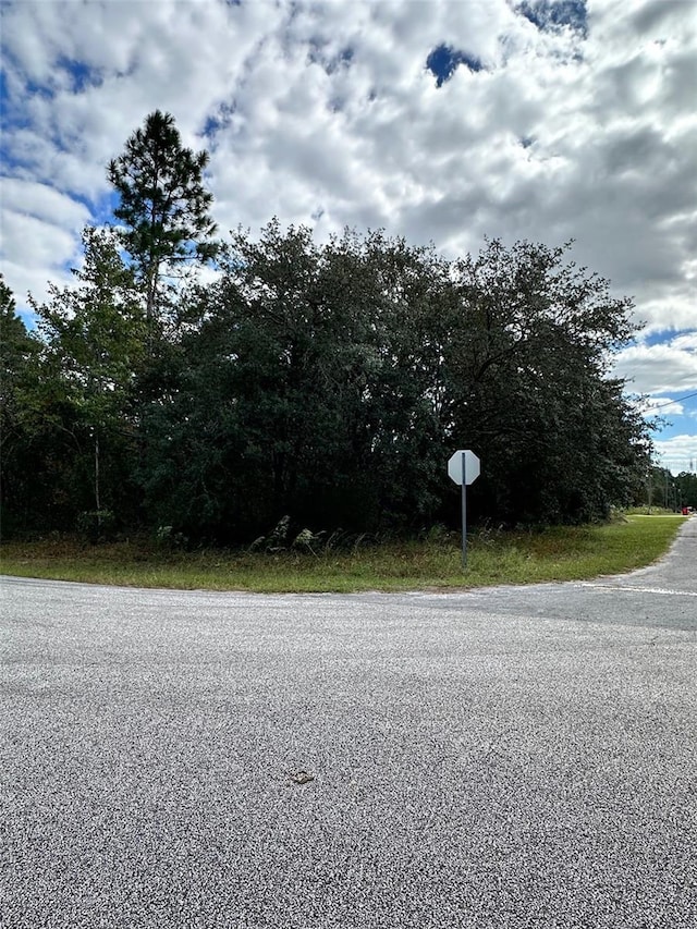 Listing photo 2 for Address Not Disclosed, Springs FL 34433