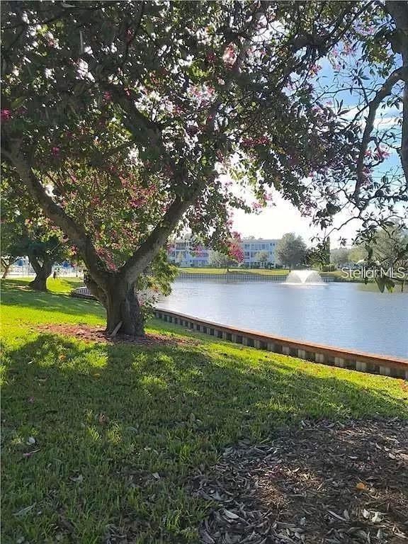 view of water feature