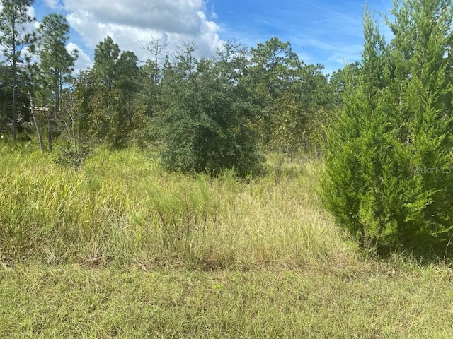 15361 Fleetwood Rd, Weeki Wachee FL, 34614 land for sale