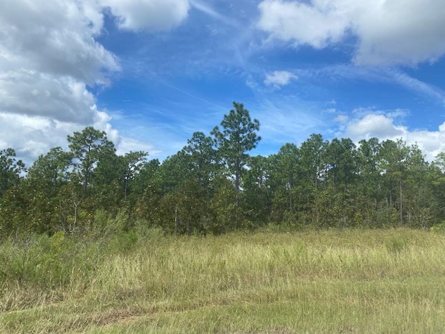 15371 Fleetwood Rd, Weeki Wachee FL, 34614 land for sale