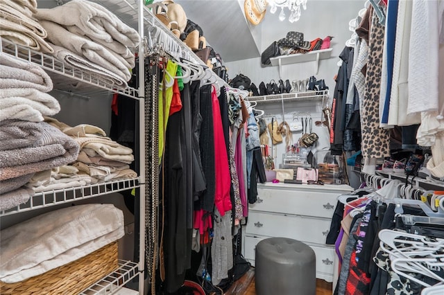 walk in closet with hardwood / wood-style flooring