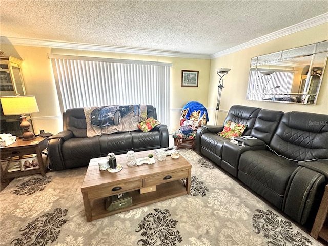 carpeted living room featuring ornamental molding and a textured ceiling