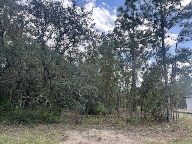 7370 N Veronica Dr, Citrus Springs FL, 34433 land for sale