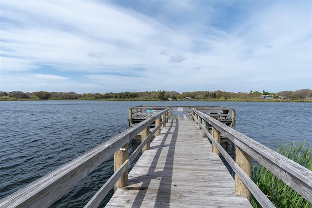 dock area with a water view