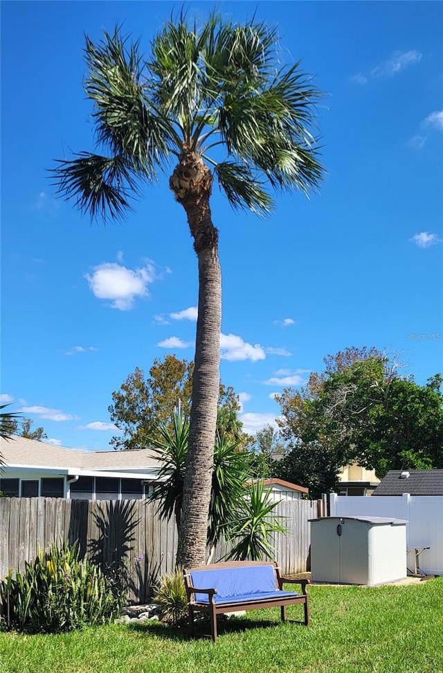 view of yard