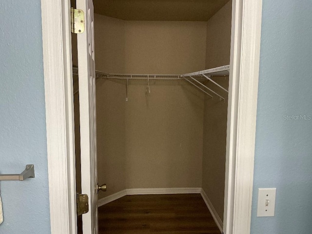 walk in closet with dark wood-type flooring