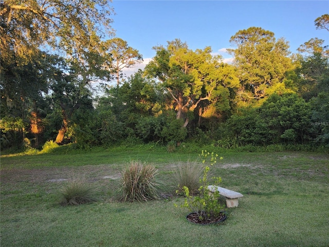2719 Brookline Ave, New Smyrna Beach, FL 32168 - photo 30