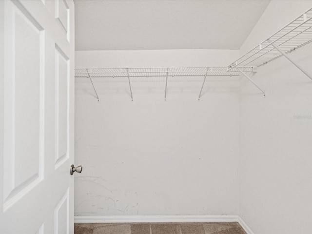 walk in closet with carpet floors