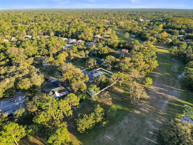 27 Douglas St, Homosassa, FL 34446 - photo 64