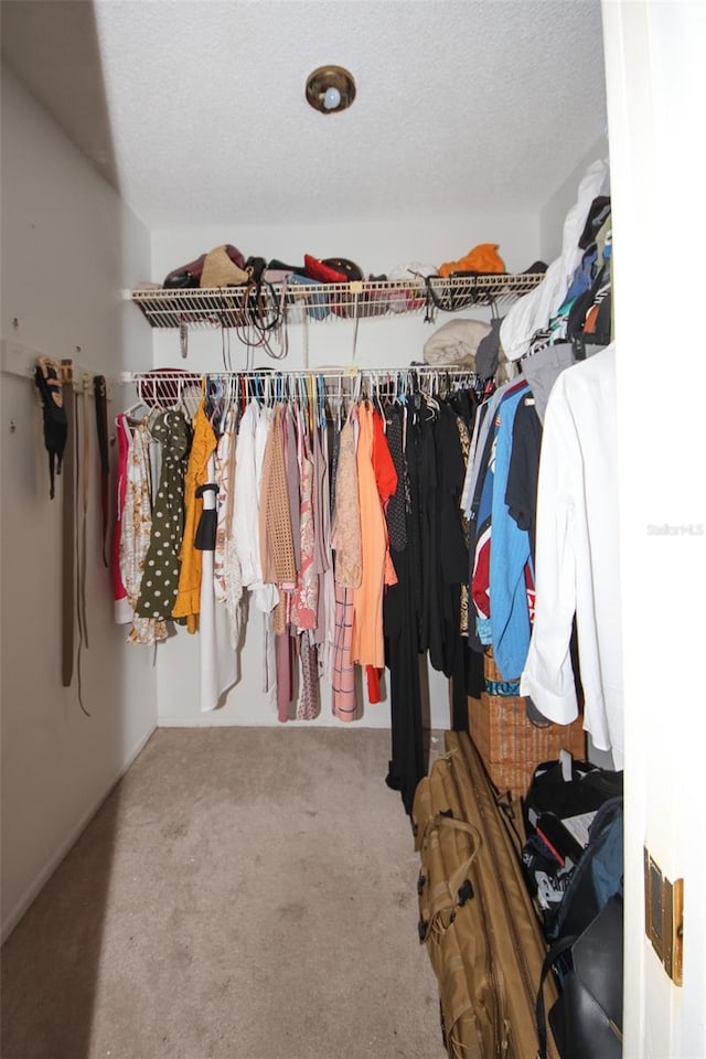 spacious closet featuring carpet floors